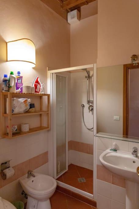 Apartment In San Frediano Area